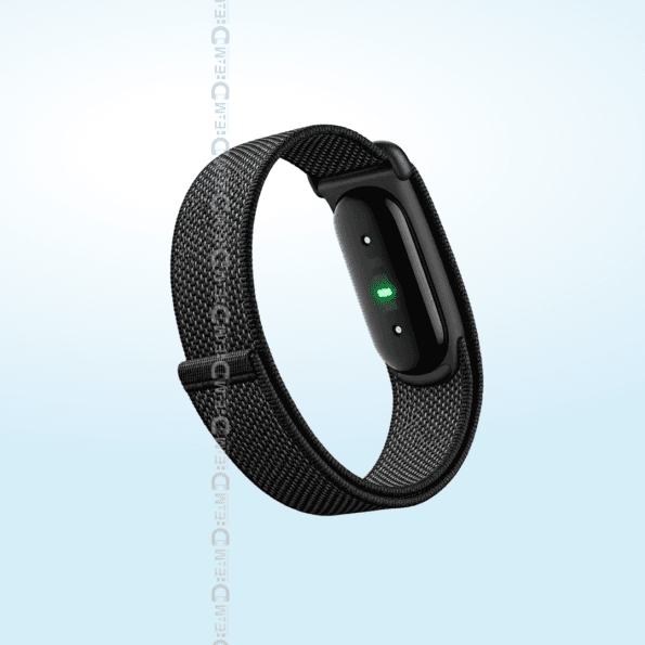 Google-Fitbit-Air-1